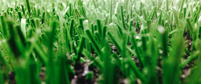 68 herbe.png - 475.21 Kb